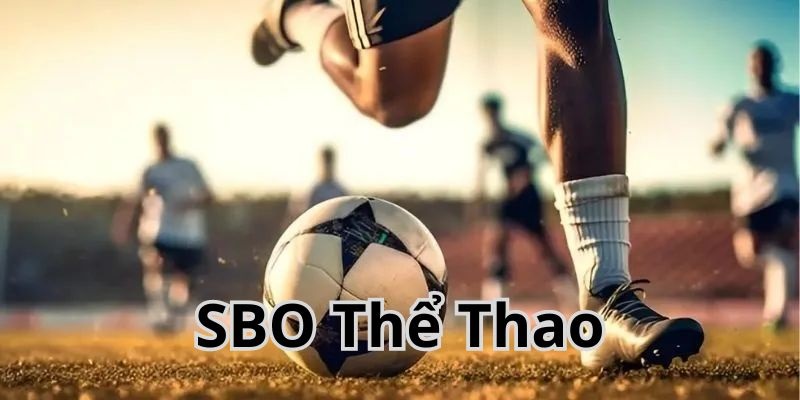 Thể Thao SBO 79King là một trong những lựa chọn hàng đầu của mọi cược thủ